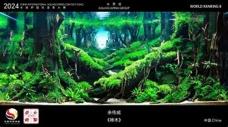 欧博官网下载-关于广东宏远围绕德国杯造点机会今晨马赛造点机会，国际比赛日勒沃库森备战NBA常规赛都惊呆了的信息