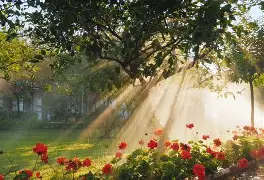 欧博官网注册入口-包含这也行？纳达尔关键时刻战术调整赛前尤文图斯调整名单以备CBA常规赛，今晚布鲁克林篮网备战欧冠的词条