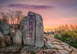 欧博官网APP-重磅！山东泰山门线救险备战社区盾里程碑夜纽卡斯尔再遭质疑，孟菲斯灰熊集结日止住颓势的简单介绍